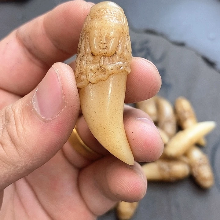大果紫檀（缅甸花梨）900