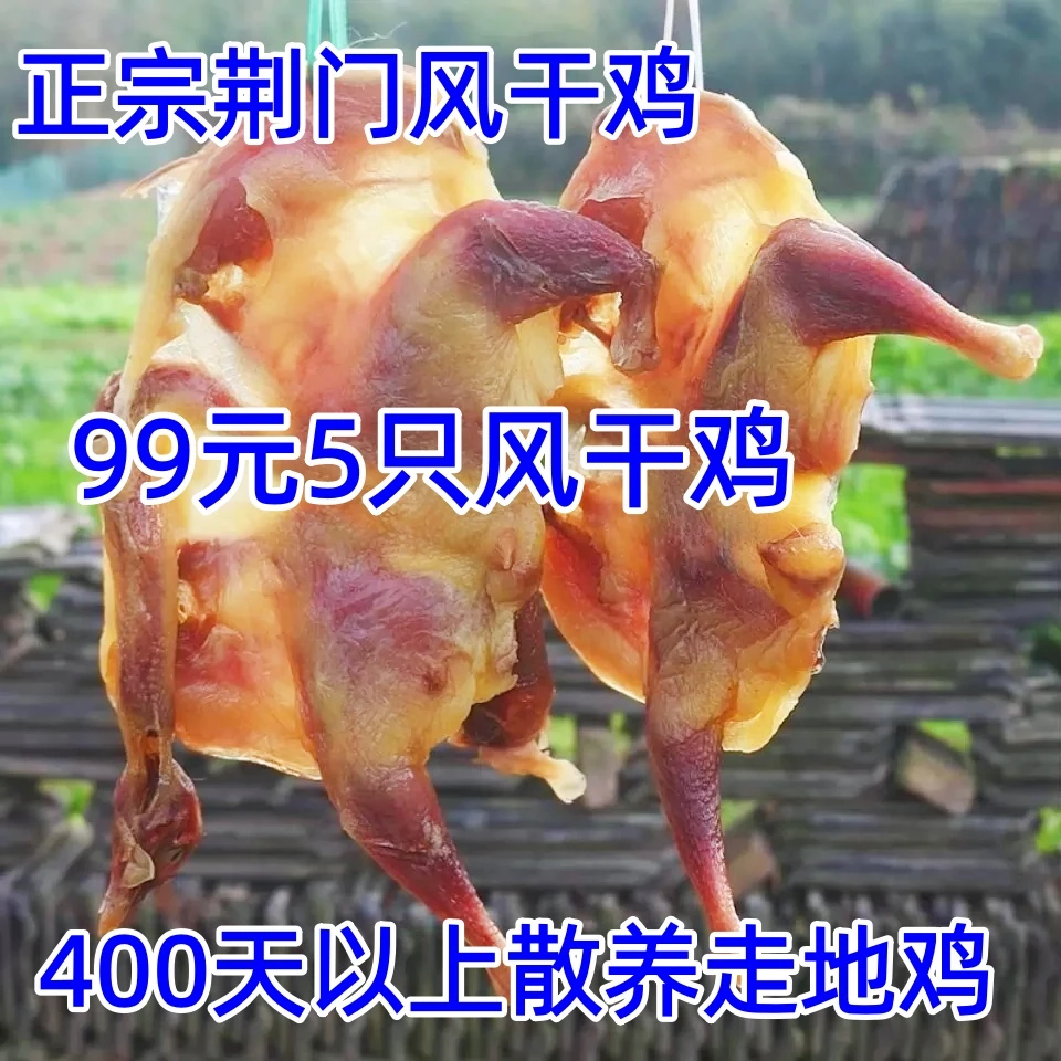 正宗风干鸡荆门十里铺散养走地鸡无翅爪肉质紧实腊货450g-550g
