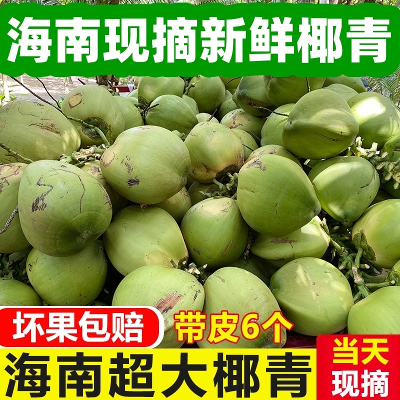 【6个装大果】海南带皮椰青新鲜采摘孕妇水果椰子水青皮椰汁整箱