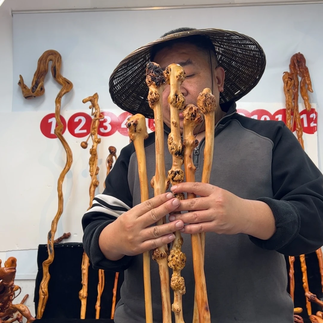 其他黑果木黑果木517