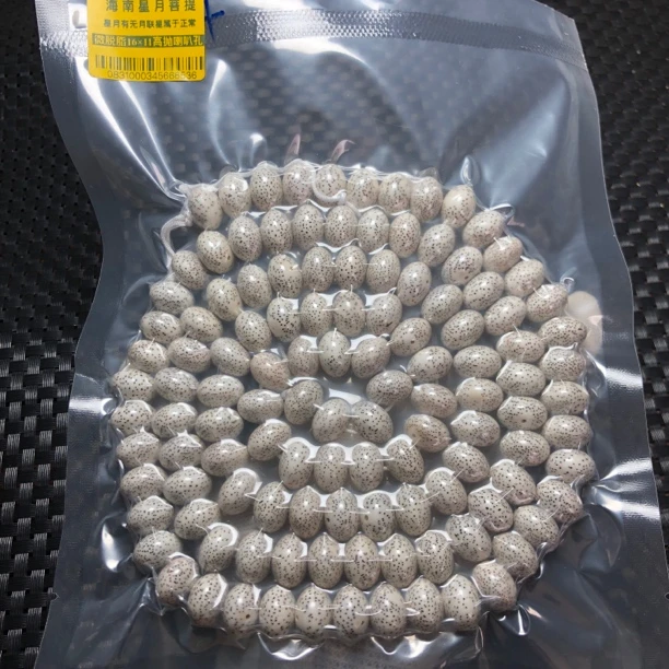 0831海南星月菩提微脱脂16×11大尺寸大苹果珠精工喇叭孔高抛脖挂