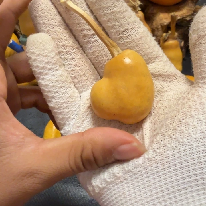 谁***果霉点6666666666666