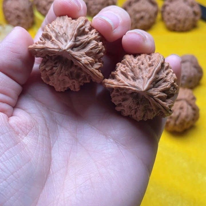 笑***$核桃盘山三棱精对