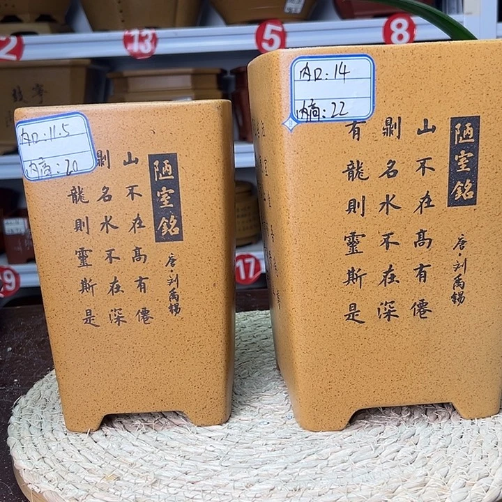 紫砂花盆蛇年大吉