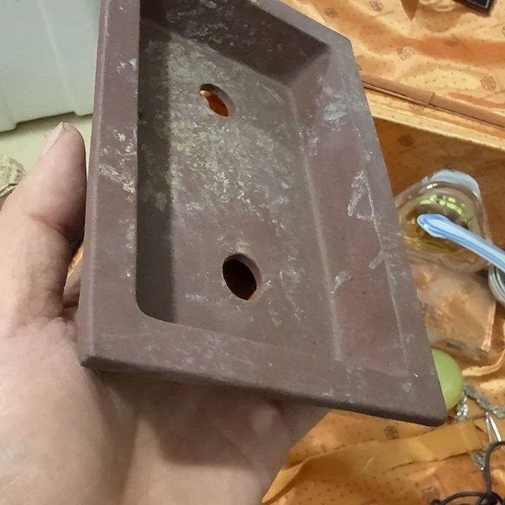 用***2扇子吃瓜哈哈哈哈哈哈哈哈哈哈哈