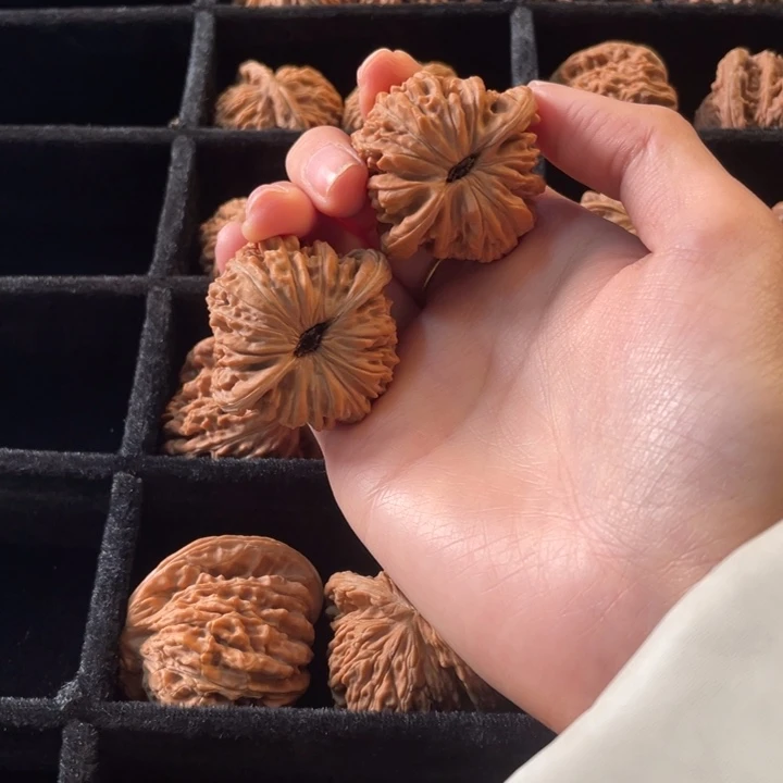 坐***山大叶紫檀（黑酸枝木类）