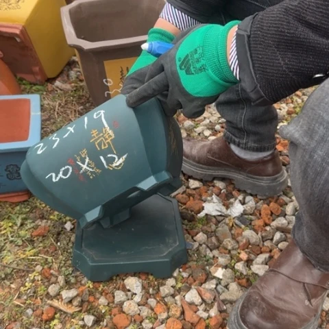 紫砂花盆紫砂花盆盆景盆栽