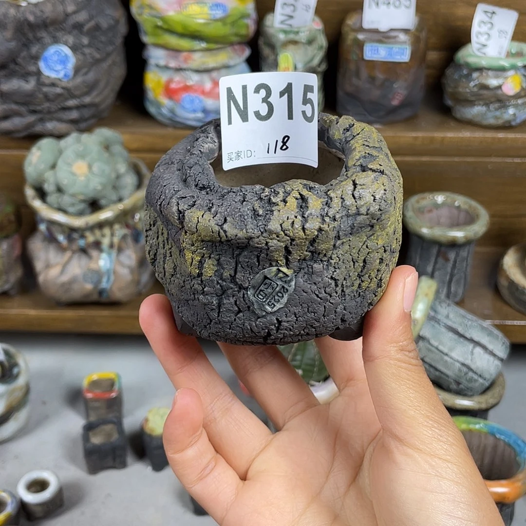 坛子姐花盆小白孤品 内口4.2百搭