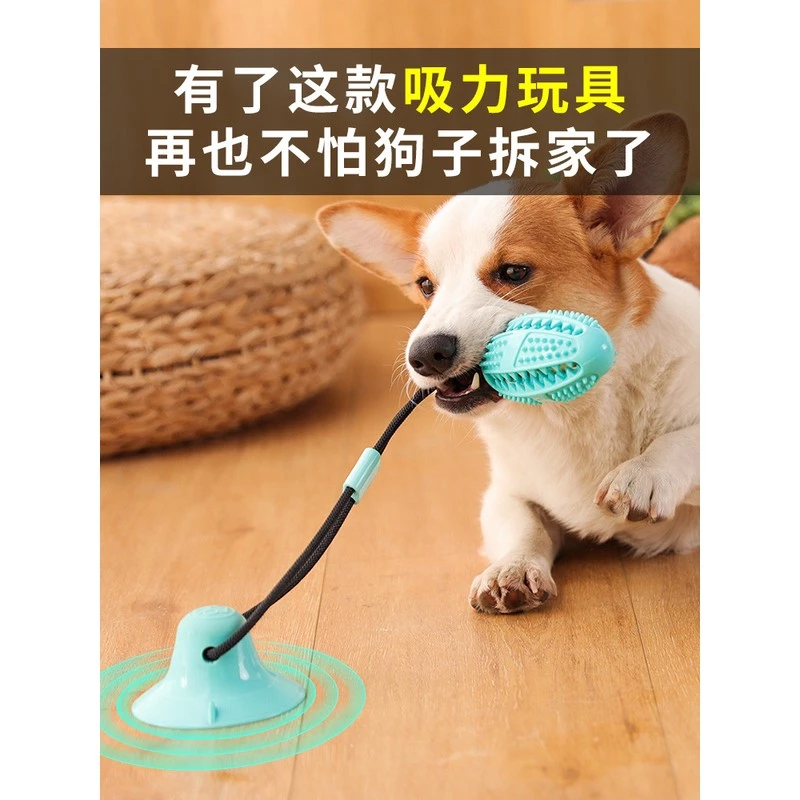 狗狗玩具球耐咬磨牙吸盘拔河拉力发声漏食玩具互动拉扯拉盘绳橡胶