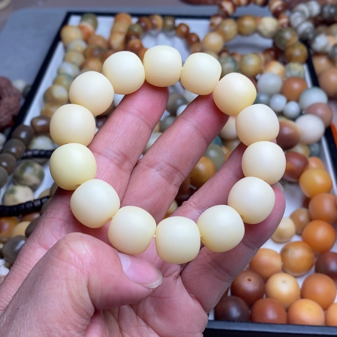 菩提根/象牙果手串苏*卡16mm白月光