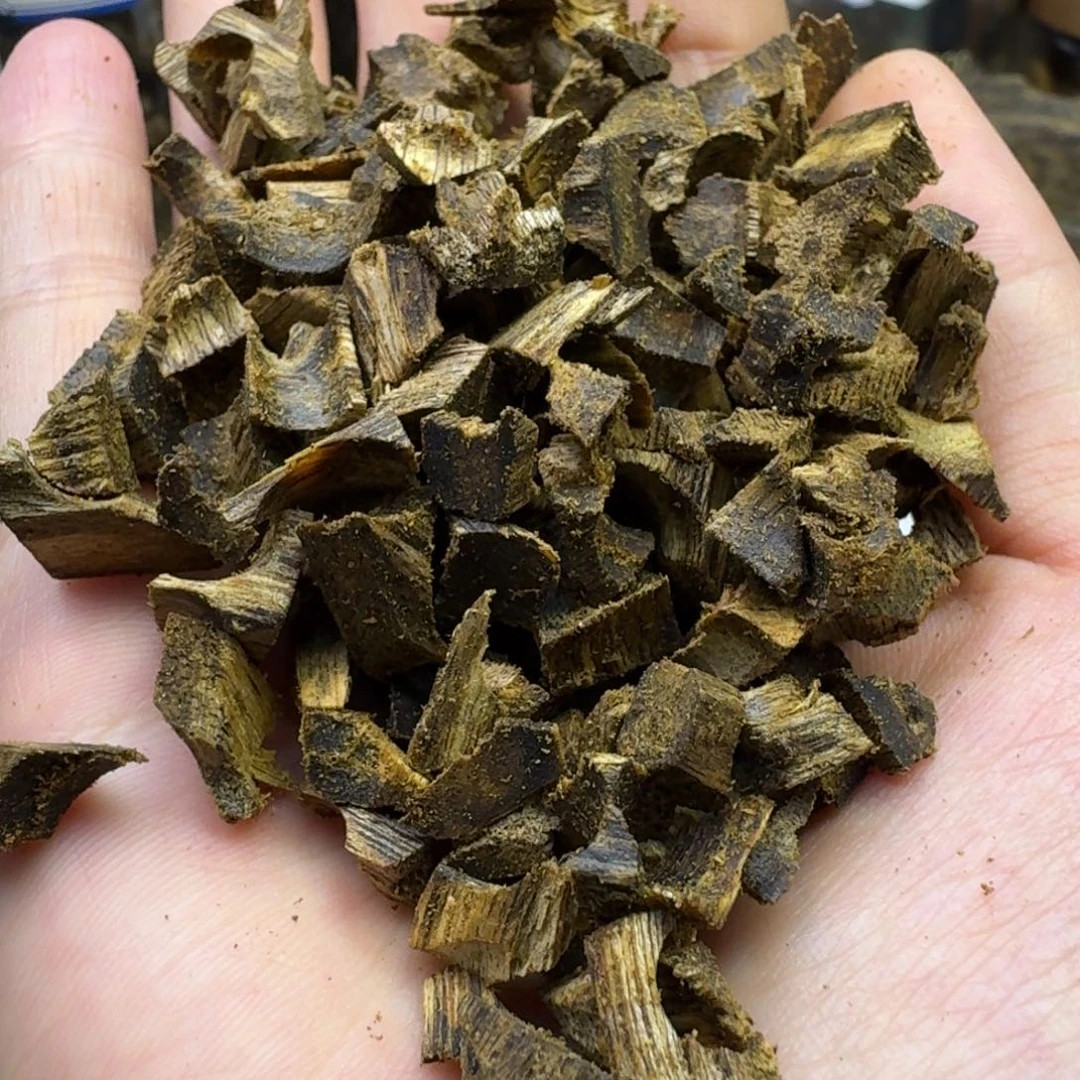 沉香沉香碎屑金沙叶高油车珠碎料100g
