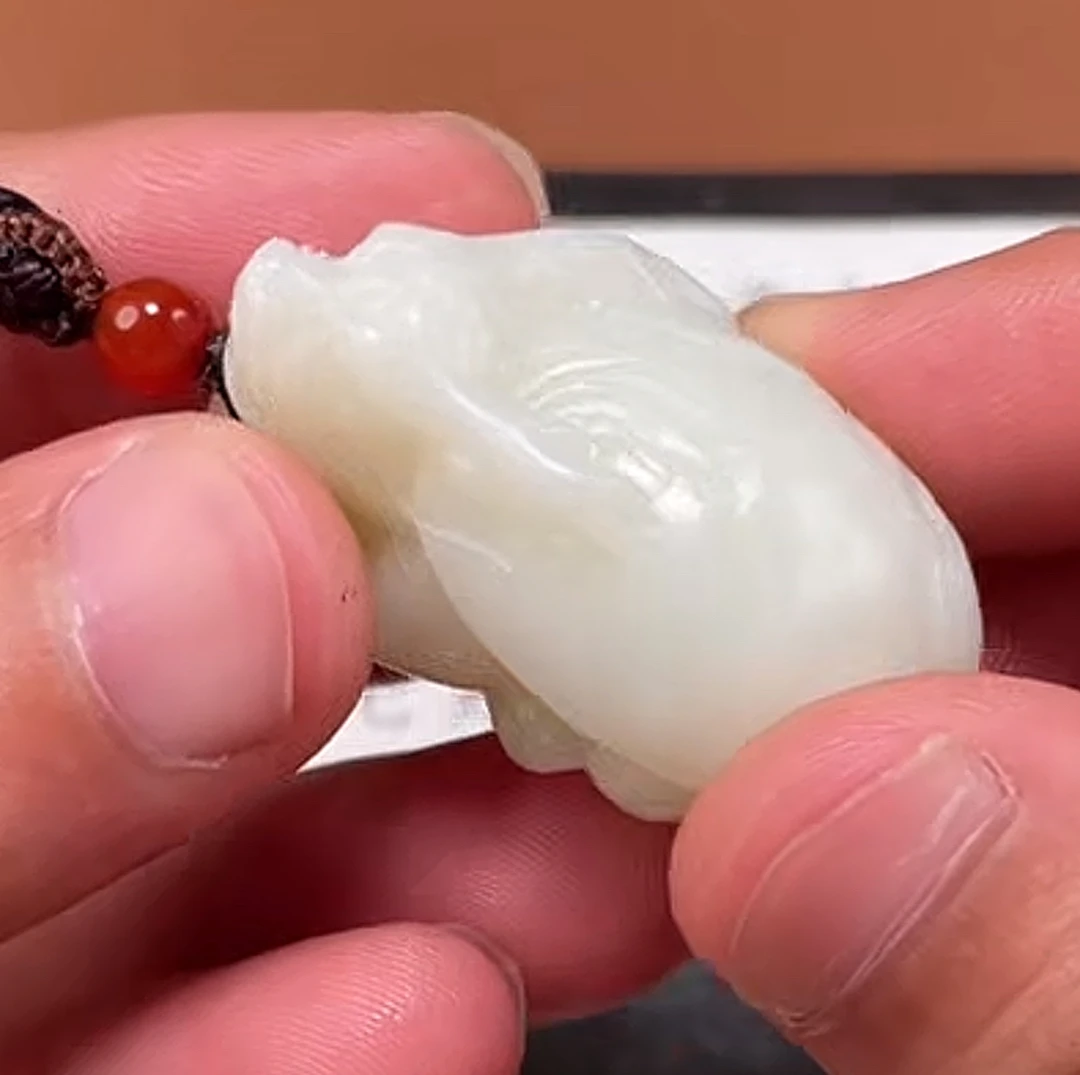 龙龟0817BL多样性拍一发一05