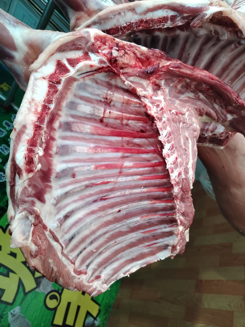 清真羔羊（前腿带排）7 斤左右 适合手把肉，焖羊肉，清炖煮（包邮）