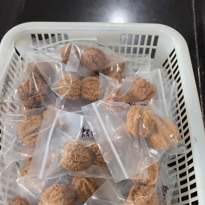 吊坠文玩核桃蚂蚁沟一般