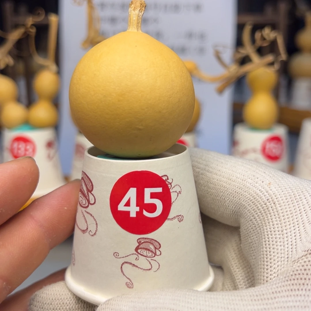 闪电购自助下单编号45