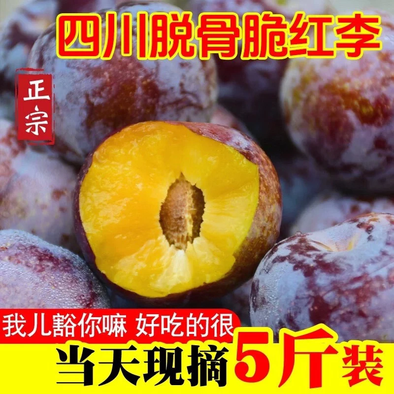（顺丰快递）四川高山脆红李新鲜应季水果脆甜多汁脱骨李子现摘现发