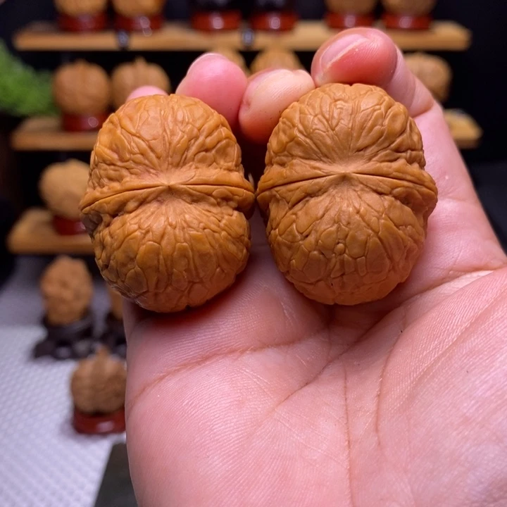 核桃云铁 寿星元宝53号