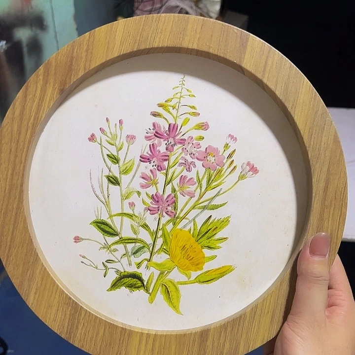 户外园艺过孤品微瑕疵