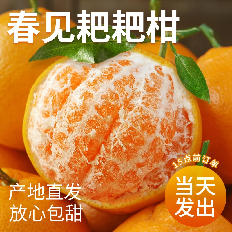四川春见耙耙柑新鲜水果正宗耙耙柑香甜爆汁丑柑橘子现摘现发爽口