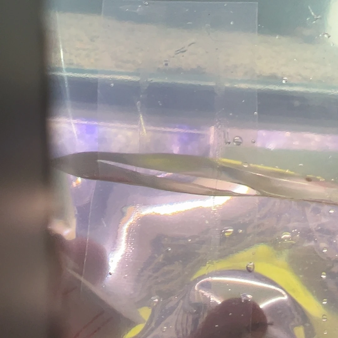 阿***、亲亲亲亲亲亲亲亲亲亲亲