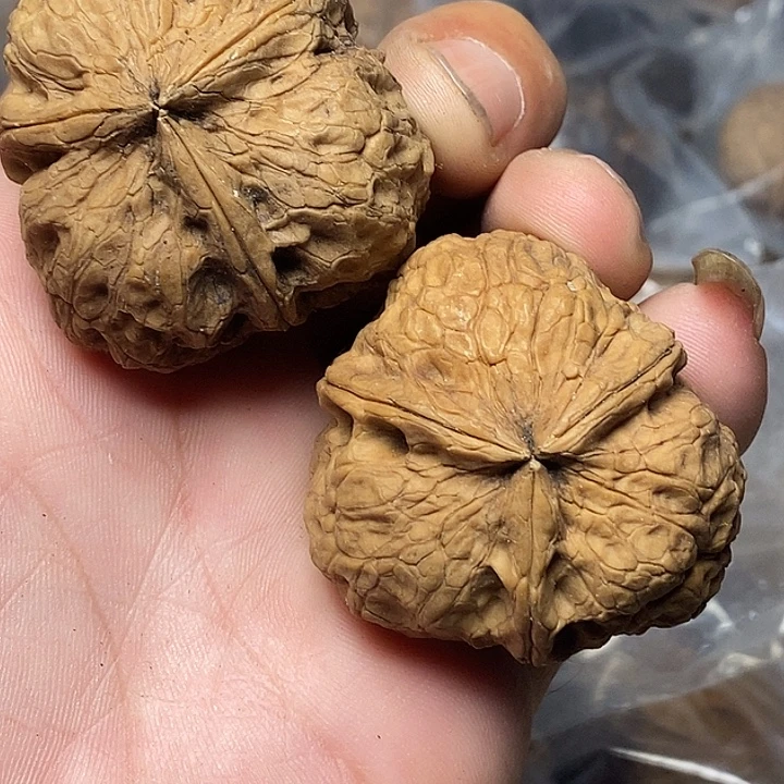 把件文玩核桃云南铁核桃A77