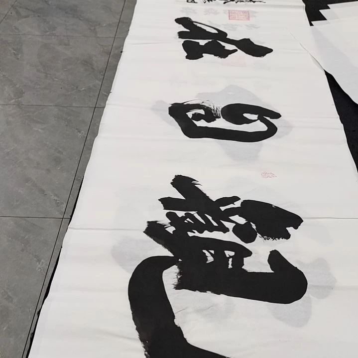翰墨申国栋老师作品