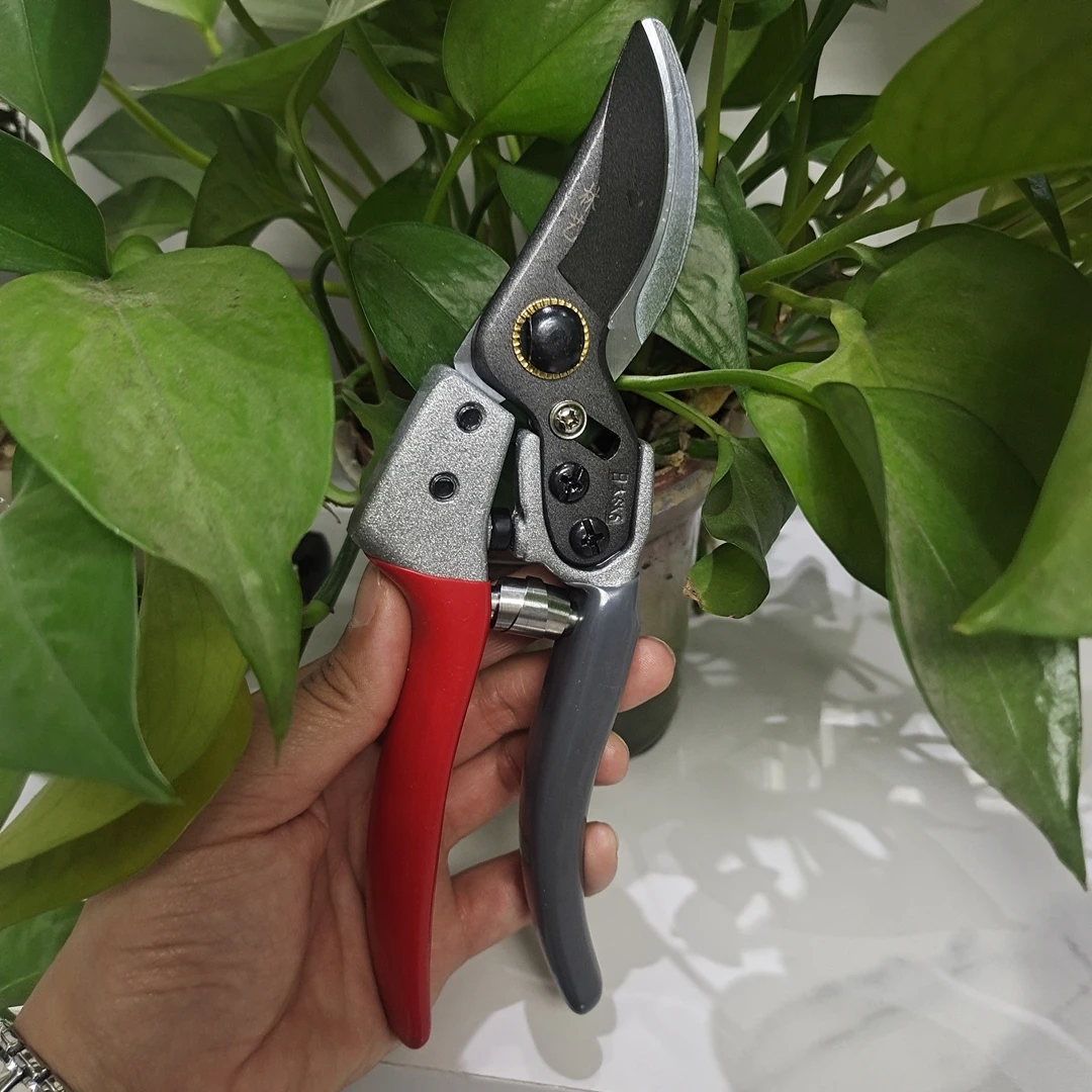 加长强力园艺户外园林专用万能锋利修枝剪送锯子