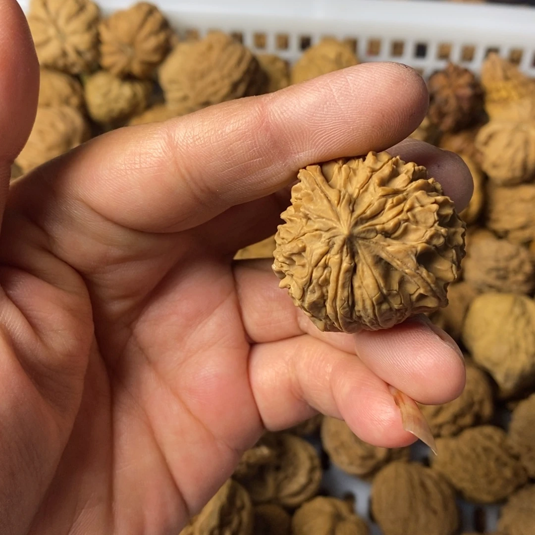 大***闪大叶紫檀（黑酸枝木类）