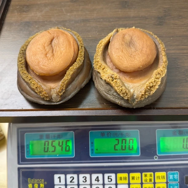特大2头鲍鱼 双头鲍鱼 南干鲍鱼 足干厚肉溏心醇香糖心鲍特大鲍鱼