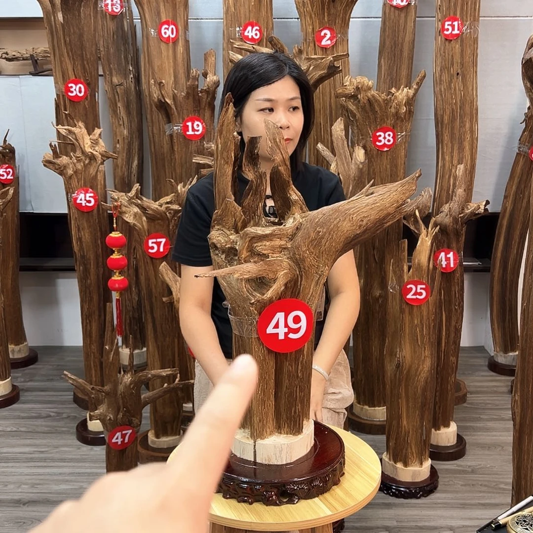 沉香沉香碎屑爱***赢沉香