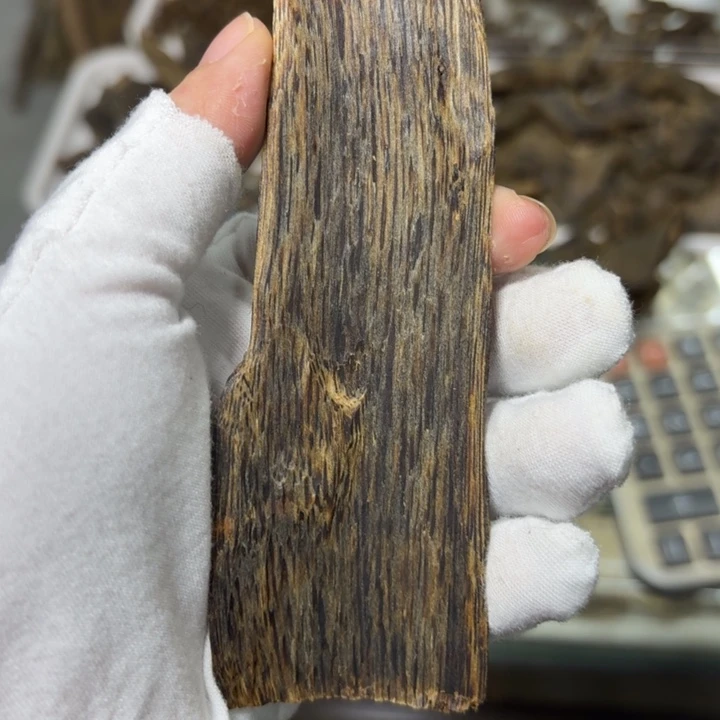 木乌身皮油发一份