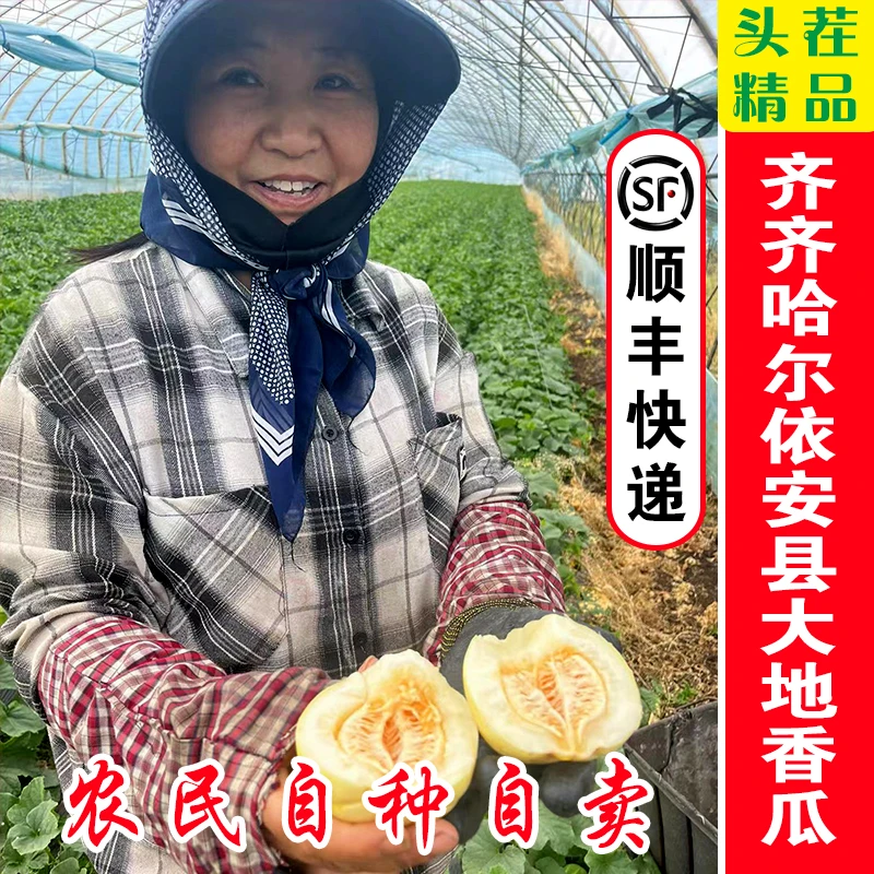 【顺丰】东北香瓜大地头茬现摘现发新鲜水果应季超甜白糖薄皮小脆瓜