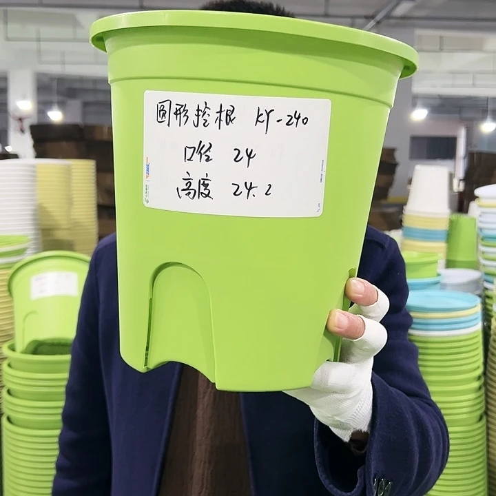 正品圆控口24高24白色5只无托