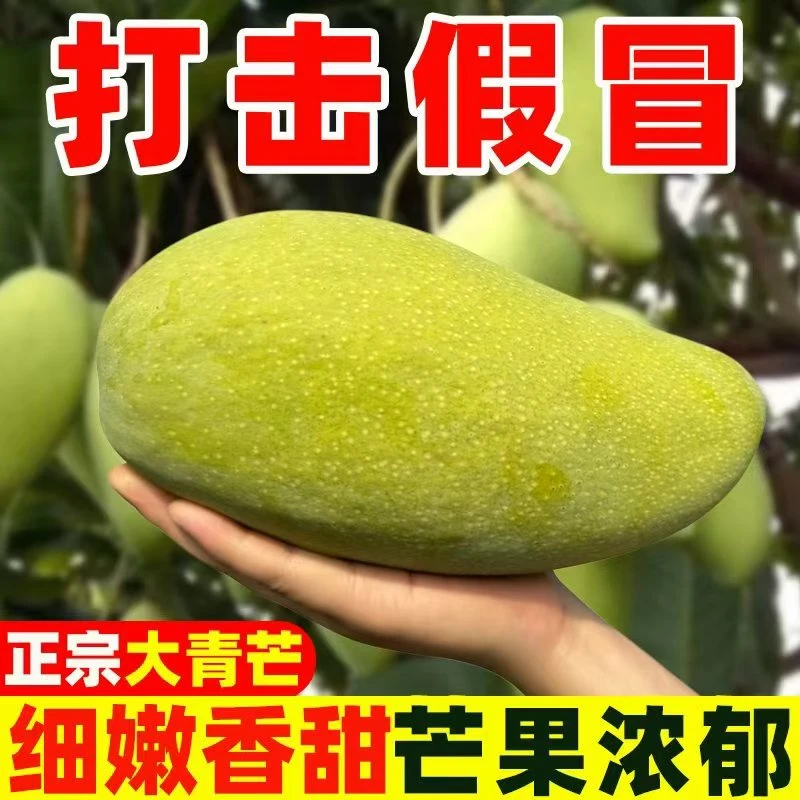 ZL云南青皮大青芒果当季新鲜水果现摘大青芒爆汁脆甜