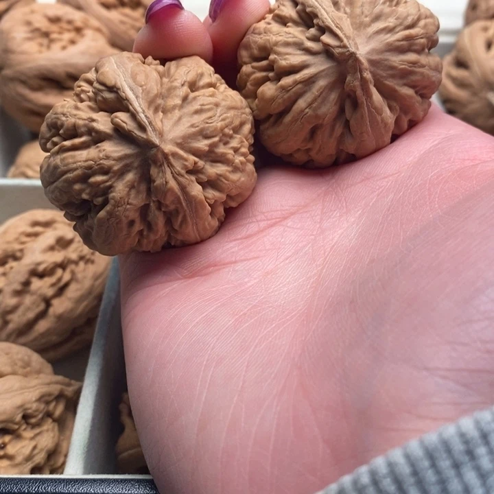 文玩核桃吊坠霸王龙