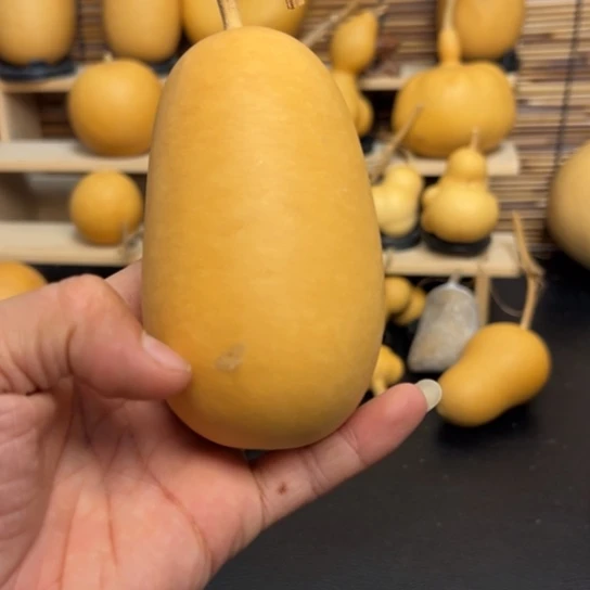 小*子15568668669999