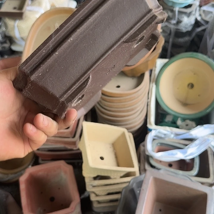 这就是为什么不可以说呢啊