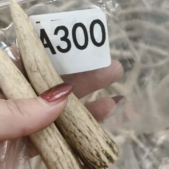 熊****鹿角鹿角鹿角鹿角鹿