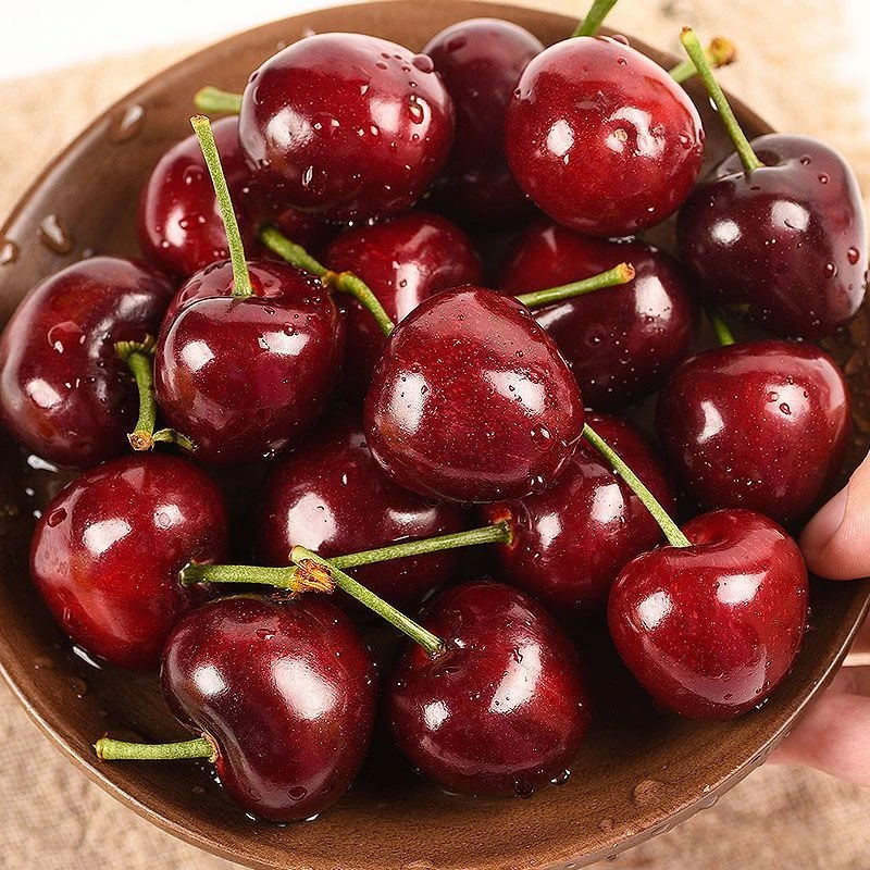 【甘肃省内顺丰】天水美早大樱桃车厘子新鲜水果现摘脆甜黑车3/5斤