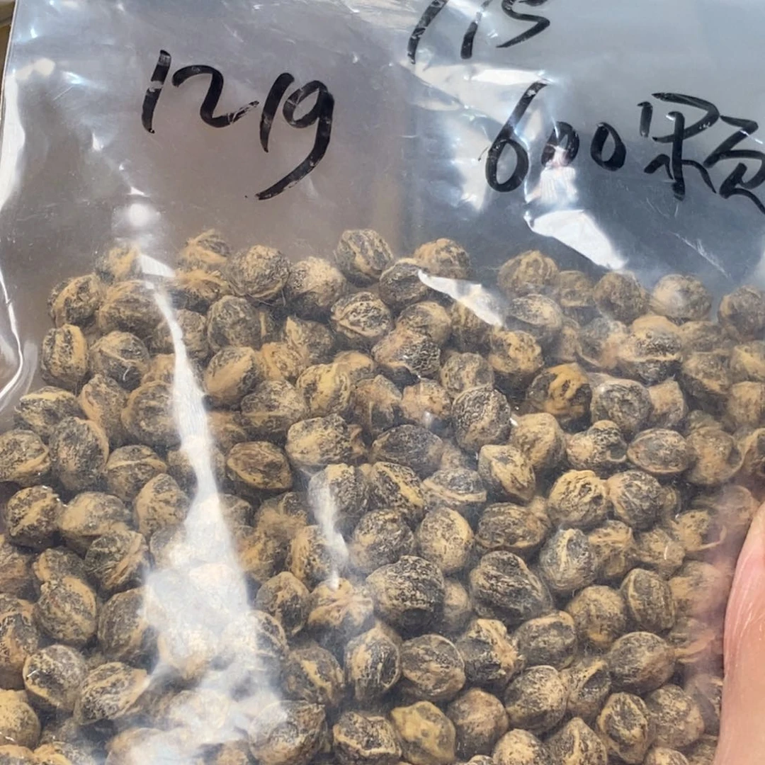 柏香籽/百香籽吊坠郫*子
