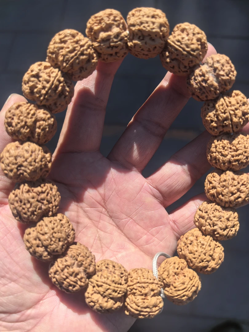 五星梅花手持，尺寸23左右