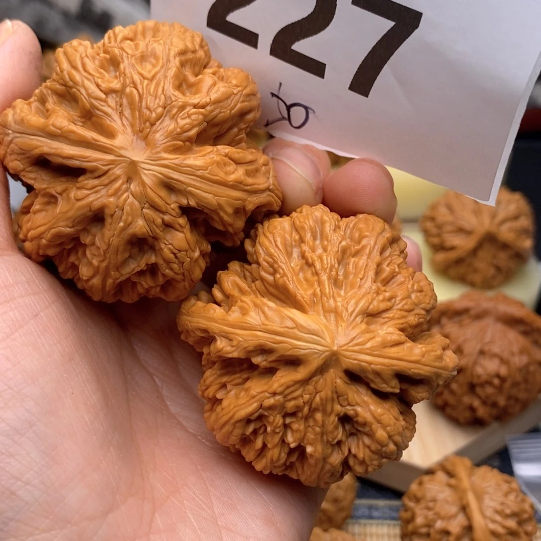 文玩核桃把件227号50粗筋
