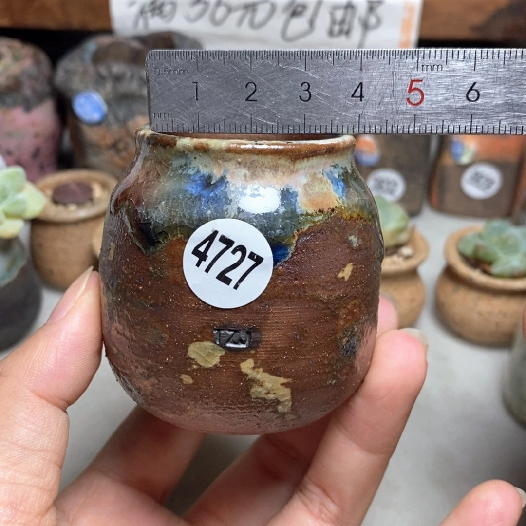 拍5送一个小礼物