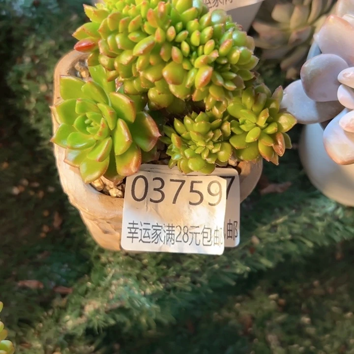 安***3幸运的是我还没遇到