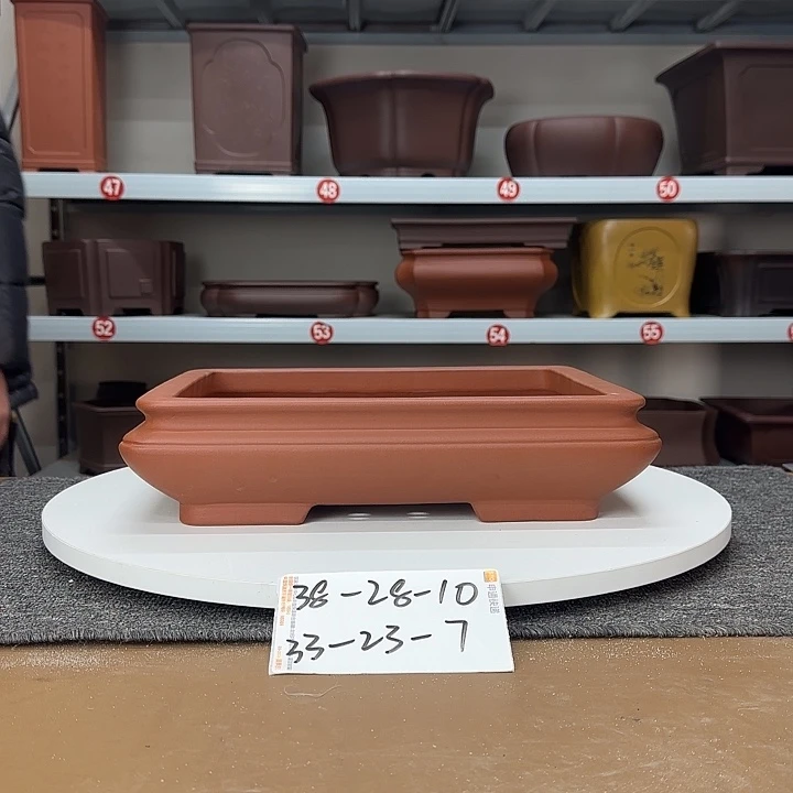 这是什么神仙爱情