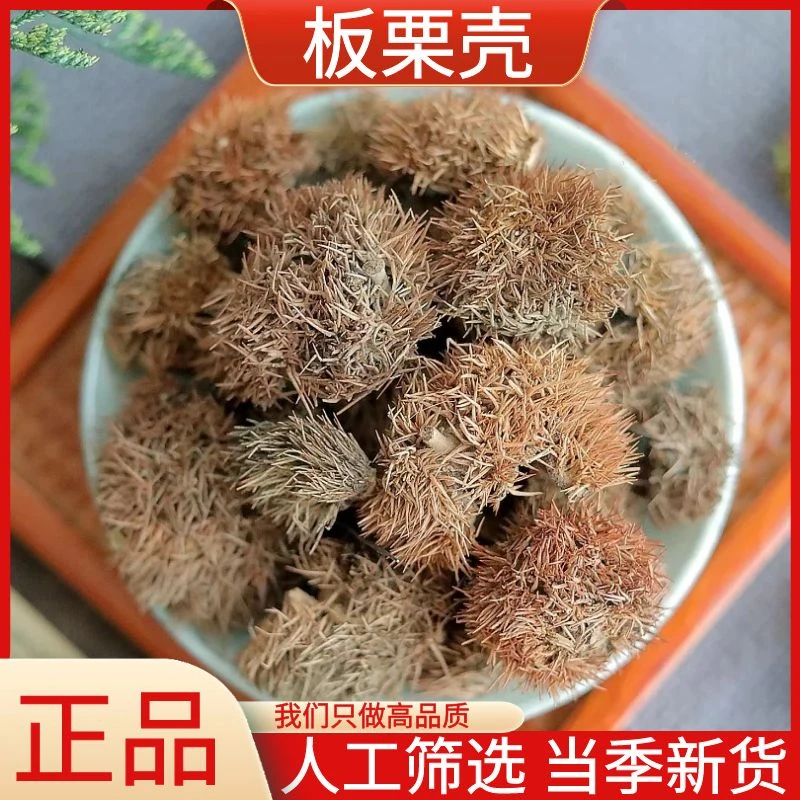 新货板栗壳球栗刺壳风栗壳板粟刺粟子刺扎手干货包邮正品另售枸杞