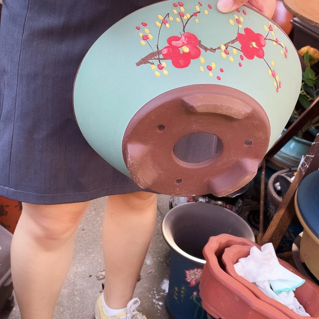 绿斗盆点菜中号花盆紫砂花盆紫砂