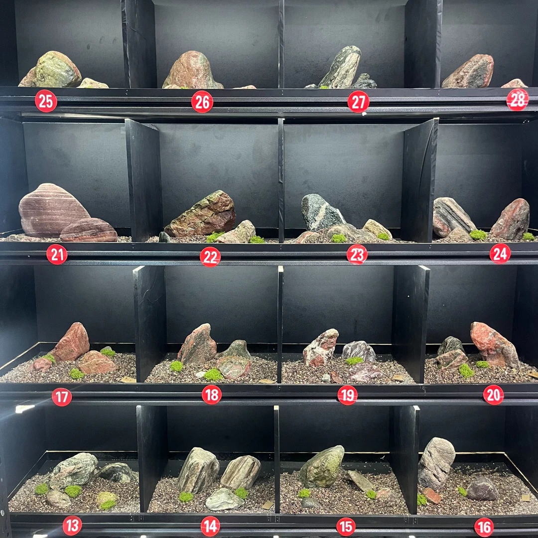 石头原生溪流石彩石溪流缸直播间一物一拍散装发货不包含底砂