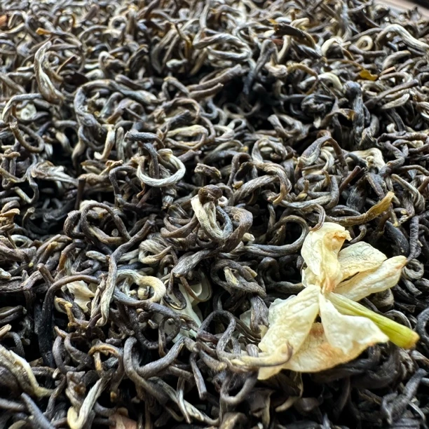 雅安茉莉飘雪 四窨 一两装