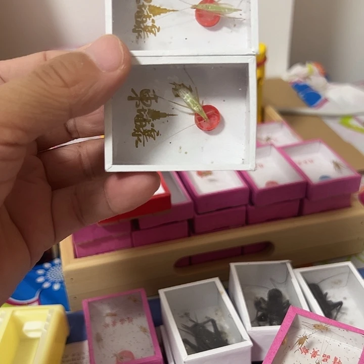 2竹蛉哈哈哈哈哈哈